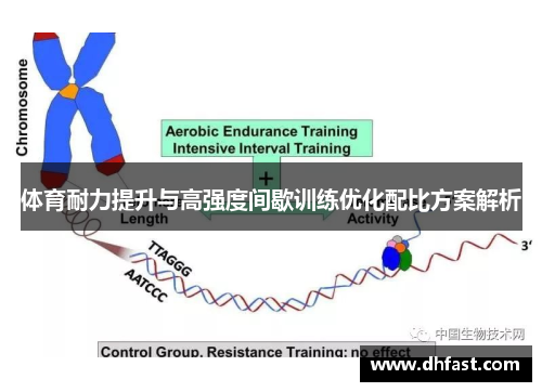 体育耐力提升与高强度间歇训练优化配比方案解析